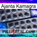 Ajanta Kamagra 31